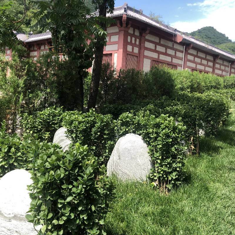 华人怀思堂福佑园自然石立碑2