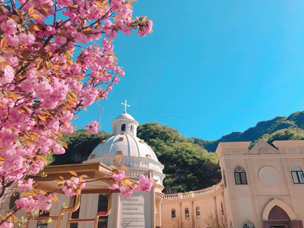 九公山长城纪念林