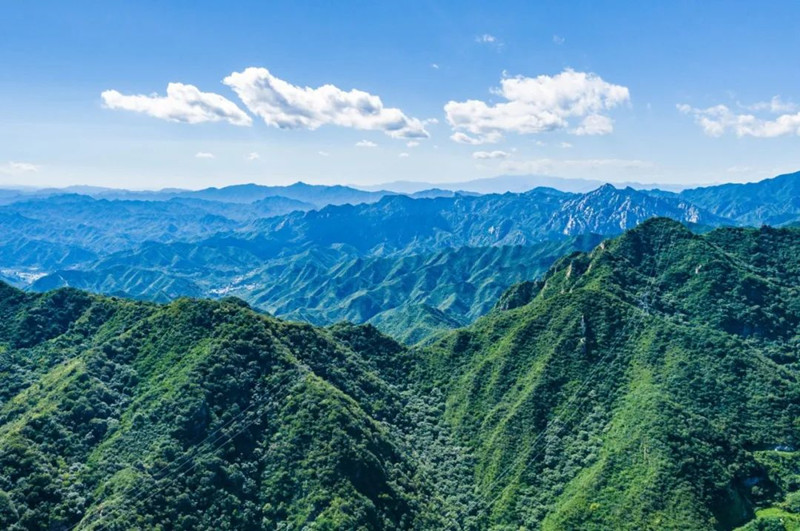九公山长城纪念林福泽聚祥瑞,尊重生命得礼赞