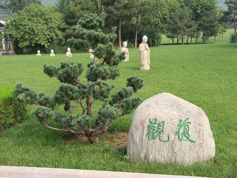 中华永久陵园——树葬售价亲民您知道吗？