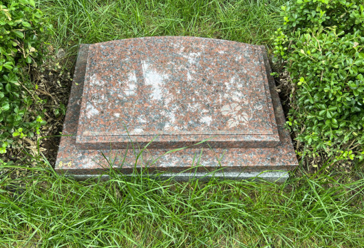 6a2680406e352.jpg