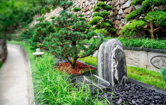 林隐